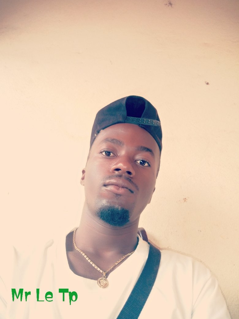 Mr The Tp